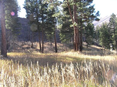 00 SE Whiskey Gulch Rd, Darby, MT 59829 - photo 2