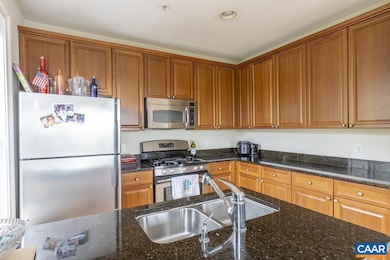 1051 Glenwood Station Ln unit 203, Charlottesville, VA 22901 - photo 4