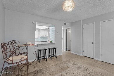 6700 Escondido Dr unit G9, El Paso, TX 79912 - photo 5