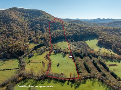 336 Old Skeenah Gap Rd, Suches, GA 30572 - photo 6