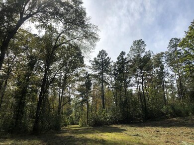 59.65 Ac White Rock Rd, Lincolnton, GA 30817 - photo 3