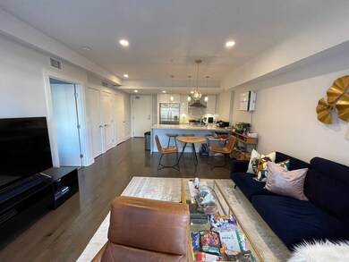 262 Monsignor O'Brien Hwy unit 202, Cambridge, MA 02141 - photo 2