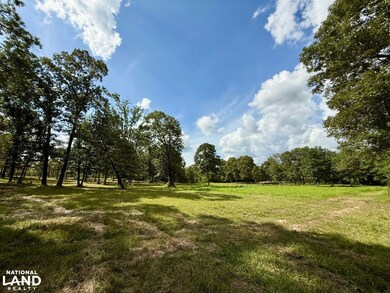 5573 County Road 1, Chatom, AL 36518 - photo 4