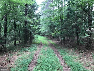 0 Moores Gin Rd unit 9693 10325272, Fairmount, GA 30139 - photo 4