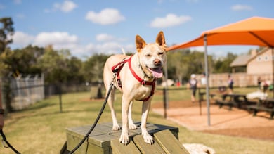 144 La Venta Loop, Liberty Hill, TX 78642 - photo 4