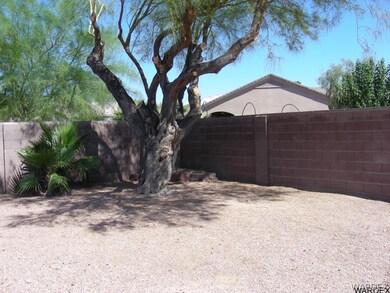 Shade tree in Backyard