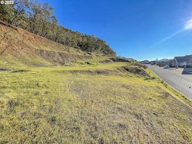 817 N View Dr, Roseburg North, OR 97495 - photo 3