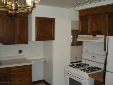 4810 Burchfield Ave, Lansing, MI 48910 - photo 5