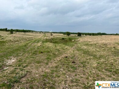 1010 Bottoms Rd E, Troy, TX 76579 - photo 4