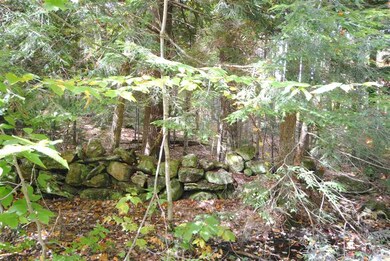 289 Handle Rd, Dover, VT 05356 - photo 5