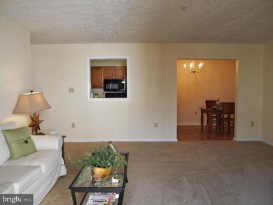 105 Hailey Ln unit D7, Strasburg, VA 22657 - photo 4