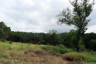 20810 Purple Finch, San Antonio, TX 78256 - photo 5