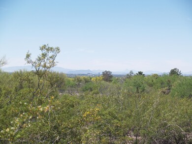 CityView.JPG