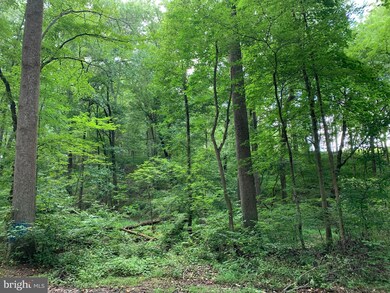 922 Buckhorn Rd, Sykesville, MD 21784 - photo 5