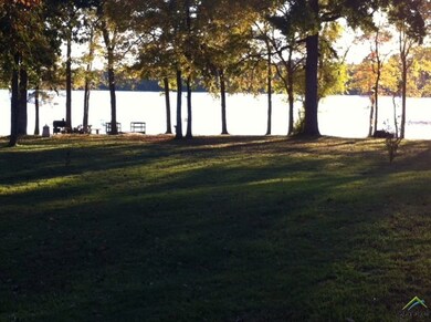 13533 White Tail Dr, Tyler, TX 75707 - photo 2