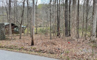 Additional View