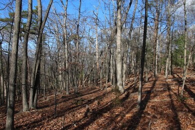 0 Supinlick Ridge Rd unit LotWP002, Mount Jackson, VA 22842 - photo 4
