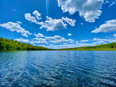 LOWER LONG POND