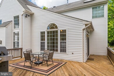 21544 Chickacoan Trail Dr, Broadlands, VA 20148 - photo 5