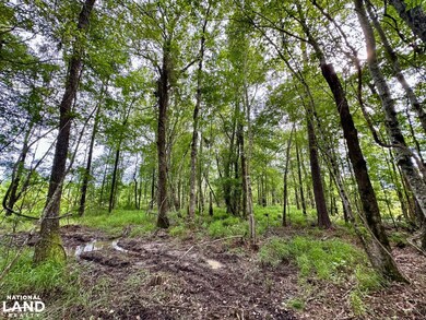 0 Bennett Colter Rd unit 25767774, Rentz, GA 31075 - photo 4