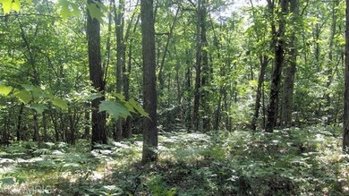 0 W Woodland Park Dr unit PAR D 13049198, Merrill Township, MI 49309 - photo 4