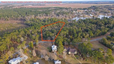 Lot 45 , Scenic Rt S D On Scenic Route, Cordele, GA 31015 - photo 2