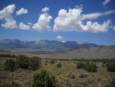 009 Rainbow Rd, Wells, NV 89835 - photo 4