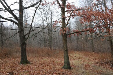 75075 34th Ave, Covert, MI 49043 - photo 2