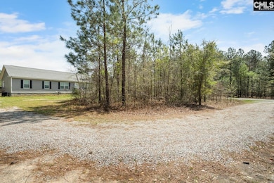 920 State Road S-32-1466, Swansea, SC 29160 - photo 4