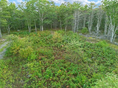 26 Lake Meadow Ln, Newcastle, ME 04553 - photo 4