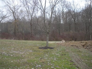 Back yard looking towards extra lot.