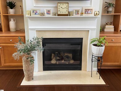 212 Wild Geese Way, Travelers Rest, SC 29690 - photo 5