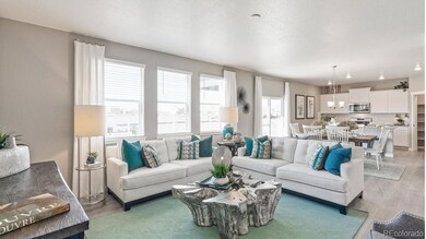 14596 Beebalm Ave, Parker, CO 80134 - photo 5