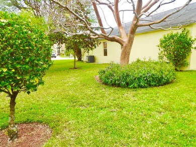 Backyard View