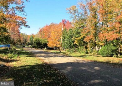 10805 Foreston Rd, Chestertown, MD 21620 - photo 4