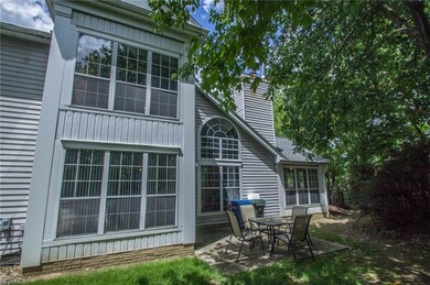 Back Yard and patio