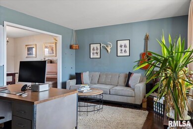 3113 Saint Helens Ct, Springfield, IL 62704 - photo 4