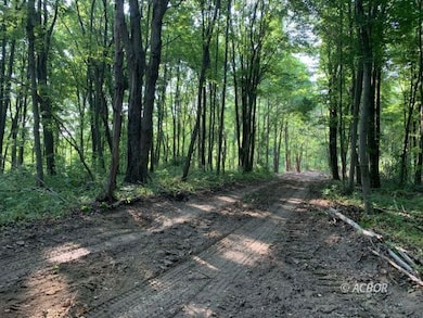 Access Trails