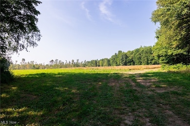 0 Andrews Ln, East Fallowfield Township, PA 16316 - photo 5