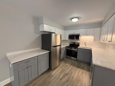 744 W Gordon Terrace unit 310, Chicago, IL 60613 - photo 4