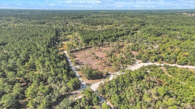 1370 Hillside Dr, Claxton, GA 30417 - photo 6