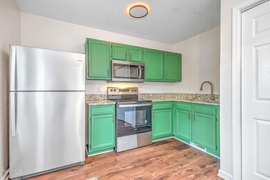 710 E Locust St, Johnson City, TN 37601 - photo 2