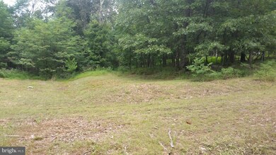 0 Gamble Ln unit 1002243754, Great Cacapon, WV 25422 - photo 4