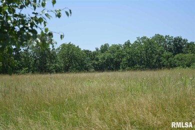 2009 Eagle Ln, Jacksonville, IL 62650 - photo 4