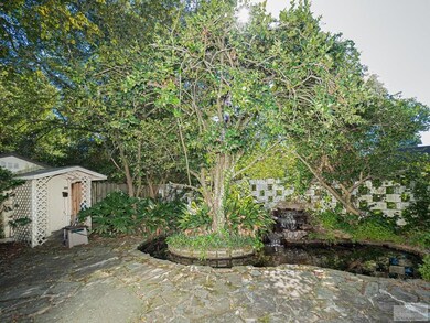 Back patio and koi pond!