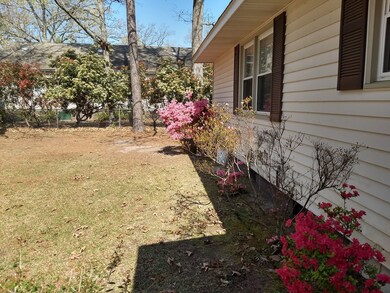 Flowering bushes front of home