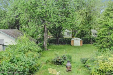 Backyard (4)