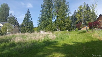 17431 Topaz Loop SE, Yelm, WA 98597 - photo 2