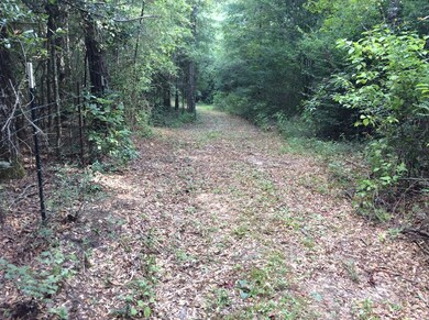 4837 Quail Tower Rd, Luverne, AL 36049 - photo 5