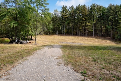 View of dirt / gravel road featuring a forest view